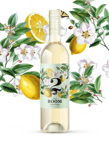 FRUIT BOOM N°2 - CITRON & GINGEMBRE...